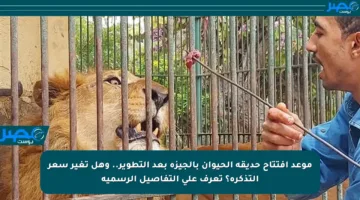موعد افتتاح حديقة الحيوان بالجيزة بعد التطوير.. وهل تغير سعر التذكرة؟ تعرف على التفاصيل الرسمية
